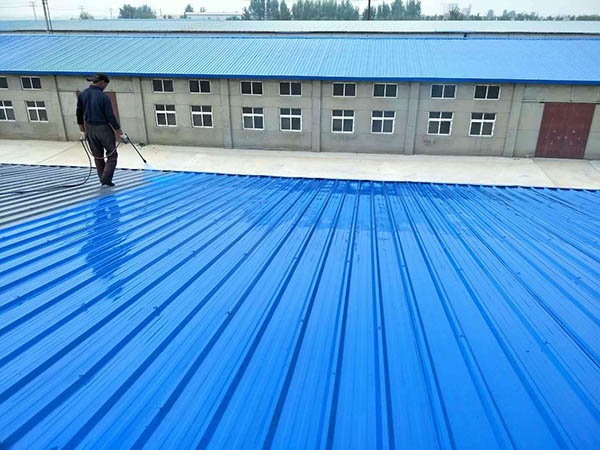 亭湖 彩钢瓦喷漆翻新工业厂房、仓库
